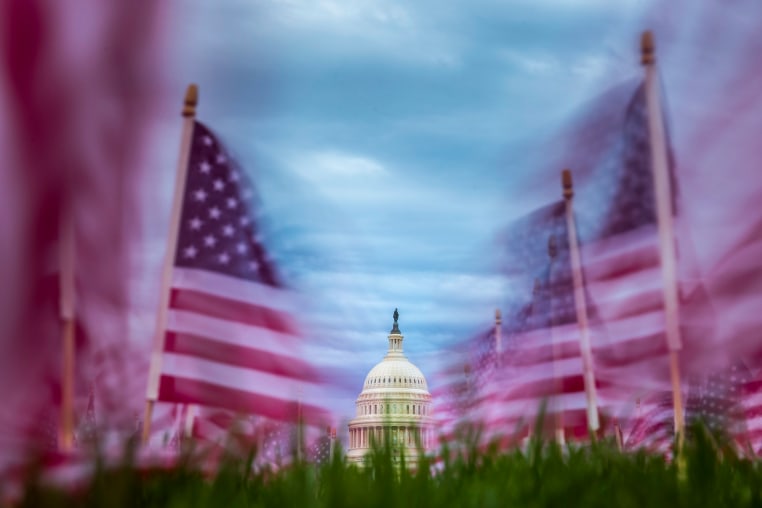 American flags planted to commemorate lung cancer victims fly in the wind along the National Mall.