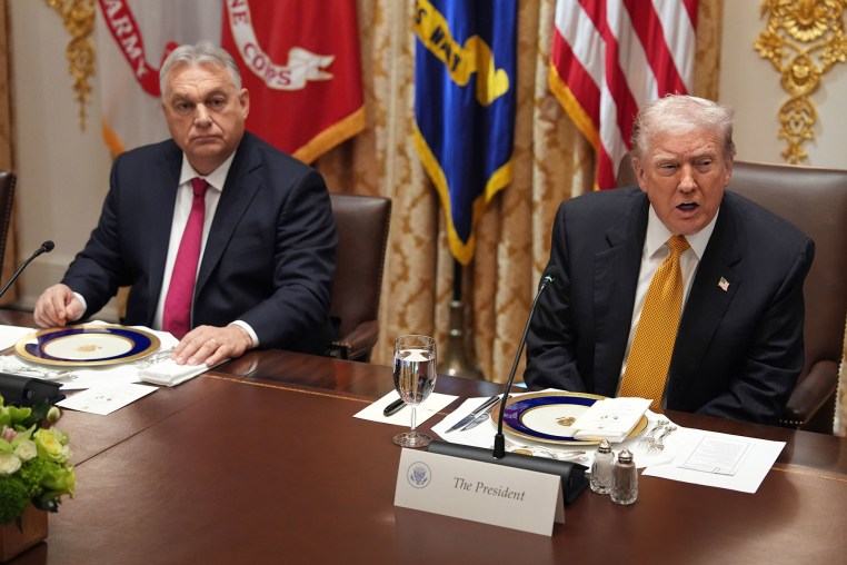 President Donald Trump meets with Hungary's Prime Minister Viktor Orban in the Cabinet Room of the White House, Friday, Nov. 7, 2025.