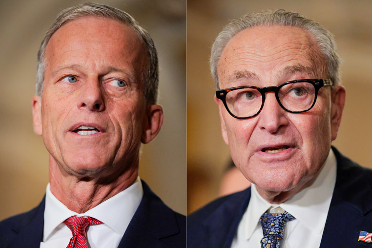 John Thune; Chuck Schumer.