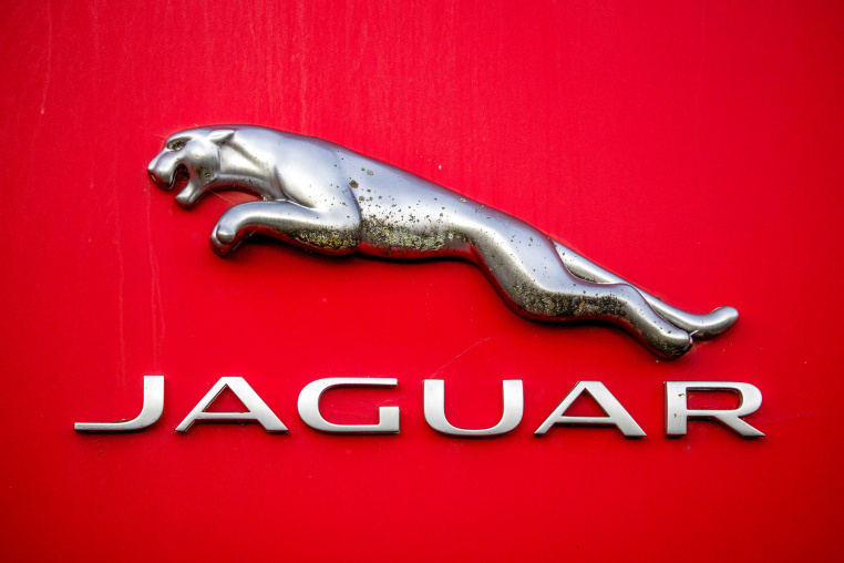 The Jaguar company logo.