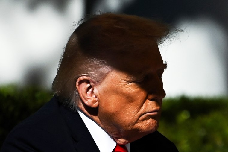 US President Donald Trump in the Rose Garden of the White House.