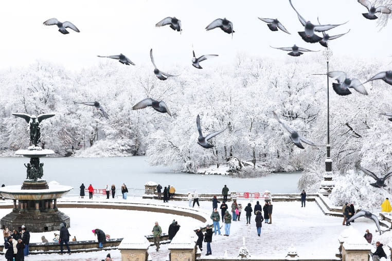 Image: TOPSHOT-US-WEATHER-SNOW