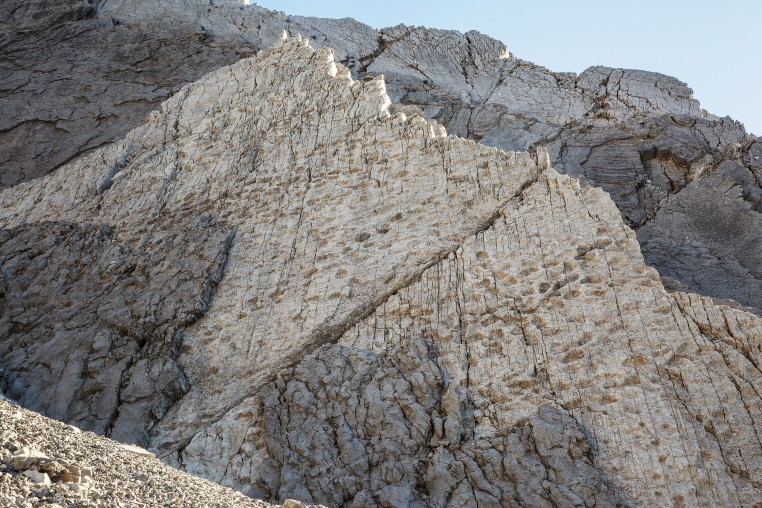 Thousands of dinosaur tracks discovered in Stelvio National Park