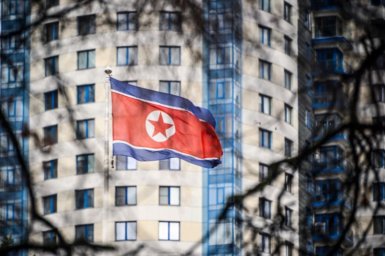 A North Korean flag flies in front of a building outside, image framed by tree branches