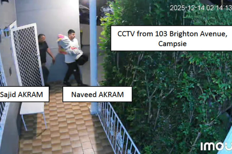 Court documents released Monday 22 December outline allegations against Naveed Akram and his father Sajid over the 14 December Bondi Beach attack.