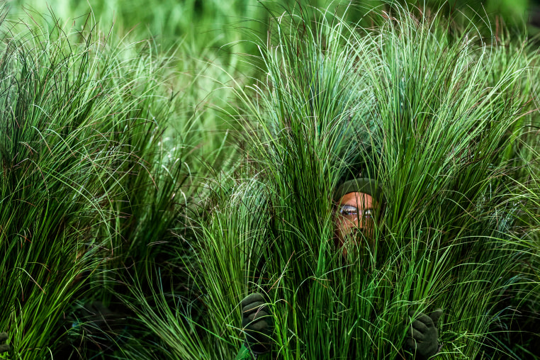 Super Bowl LX Seattle Seahawks vs. New England Patriots