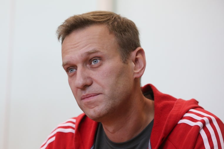 Alexey Navalny, Russian opposition leader, seen in court in Moscow in 2019.