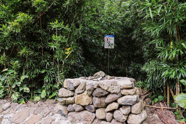 Hawaii Doctor Arrested