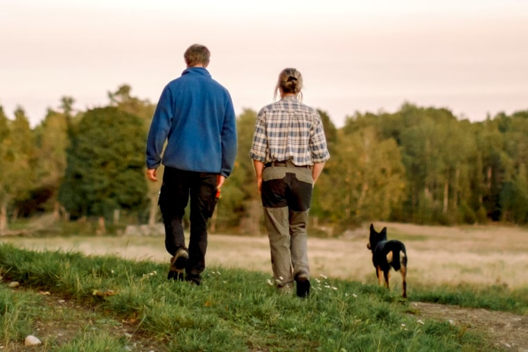 Rear view of couple with dog walking on field at sunset