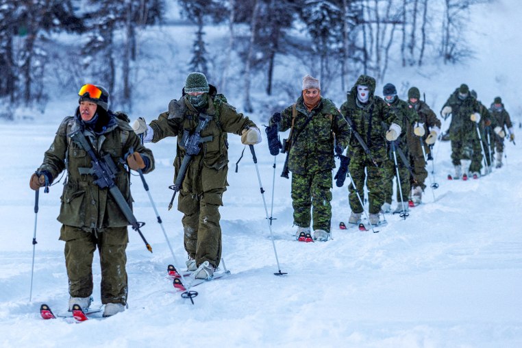 Members of 41 Canadian Brigade Group.