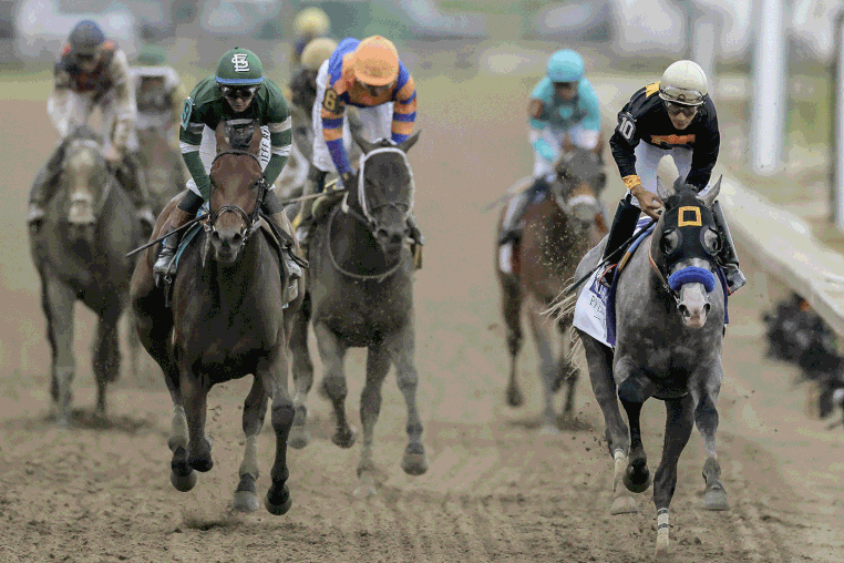 Preakness 2026