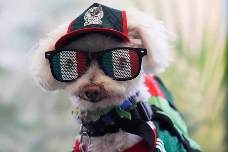 Mexico WCup Soccer Reaction