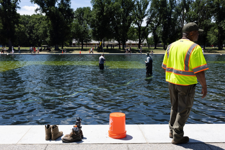 Image: National Park Service workers and contractors use vacuums to remove algae from the bottom of the Lincoln Memorial Reflecting Pool on June 20, 2026, in Washington, D.C. 