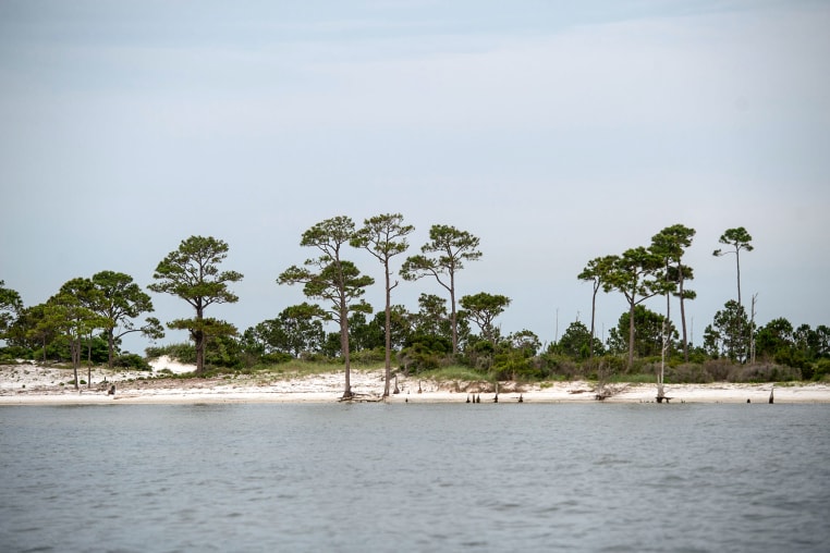 Horn Island, a Mississippi Gulf Coast barrier island south of Ocean Springs