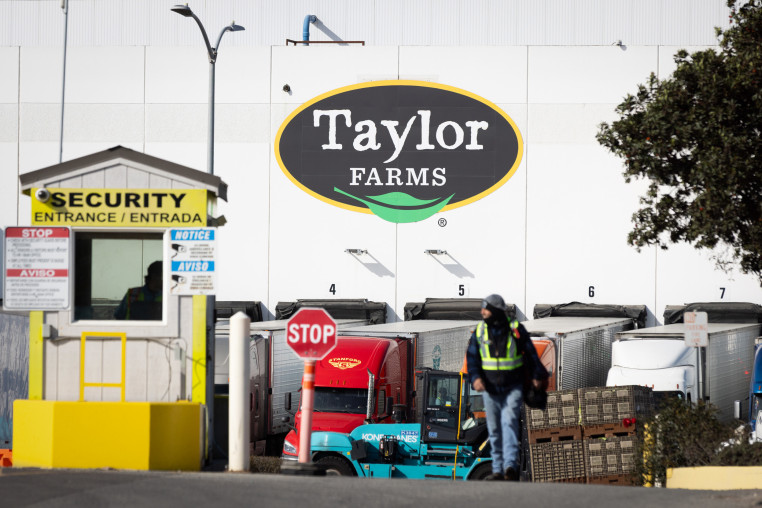 Cyclosporiasis Outbreak Traced To Iceberg Lettuce From Produce Giant Taylor Farms