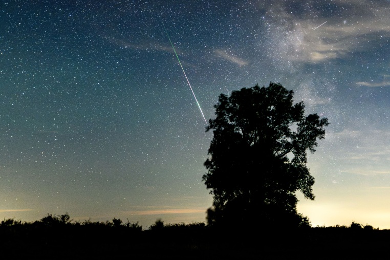 A shooting star from the Perseid meteor shower streaks across the night sky and falls behind the silhouette of a tree against the backdrop of the Milky Way