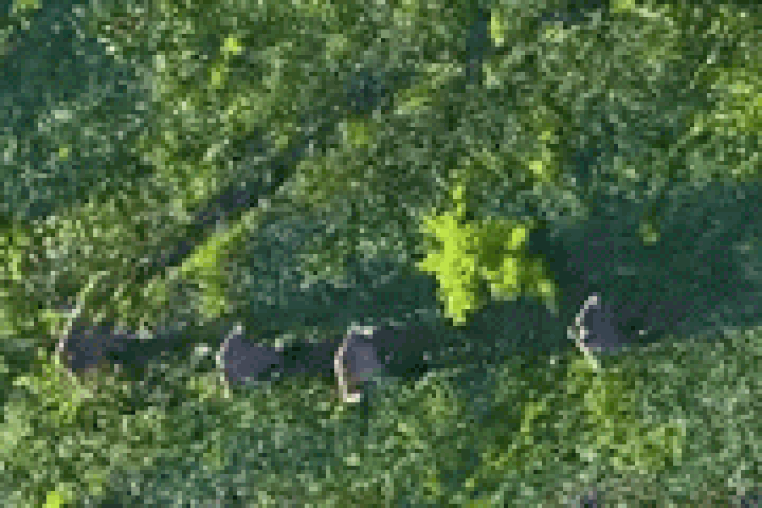 Image: A gif of aerial video showing Russian soldiers captured by the Ukrainian military.