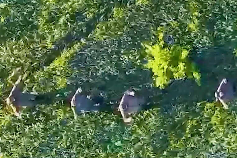 Image: A gif of aerial video showing Russian soldiers walking through a field with their hands on their heads.