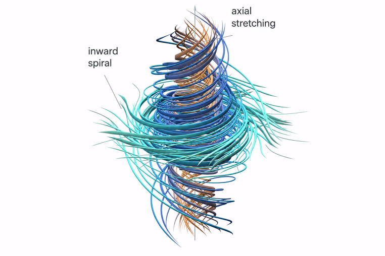 A snapshot of local incompressible motion. Orange marks faster angular rotation; teal marks slower rotation. Circulating speed also depends on radius. The trajectories show inward spiraling and axial stretching.