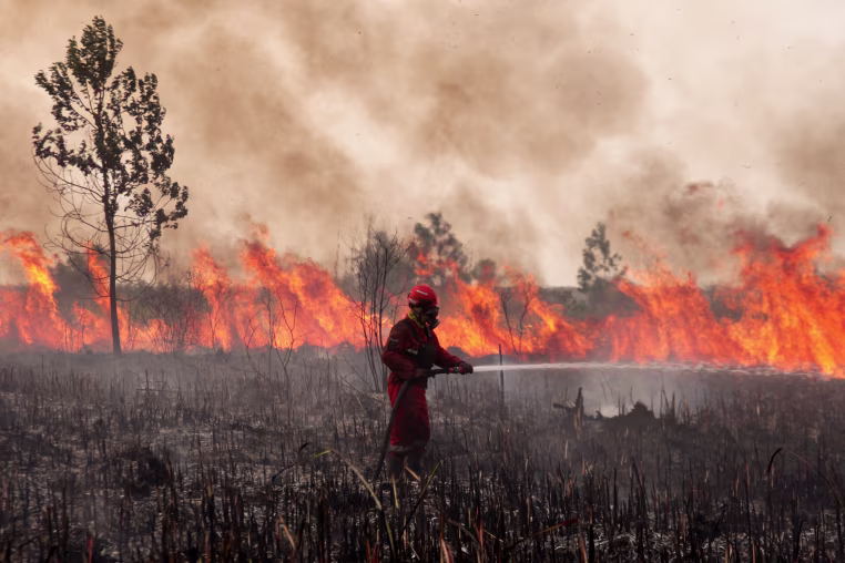 Wildfire In Sumatera, Indonesia