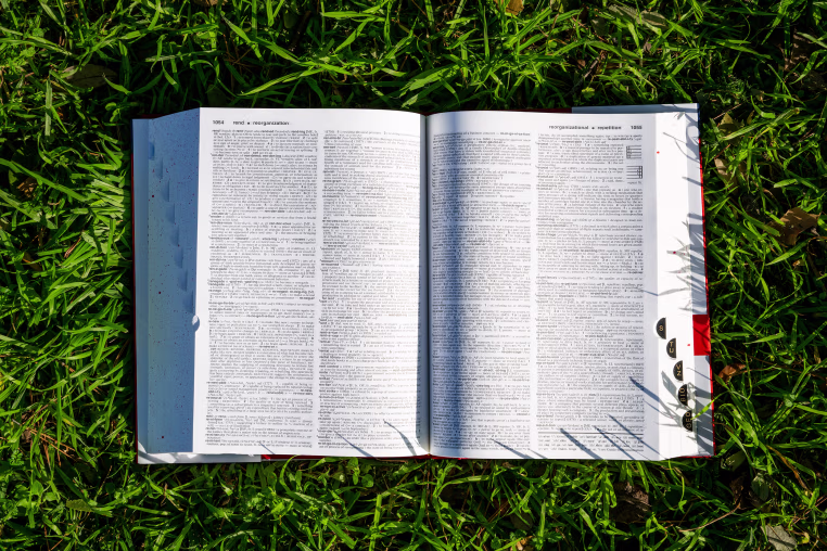 Image: A Merriam-Webster's dictionary is seen placed on a lawn
