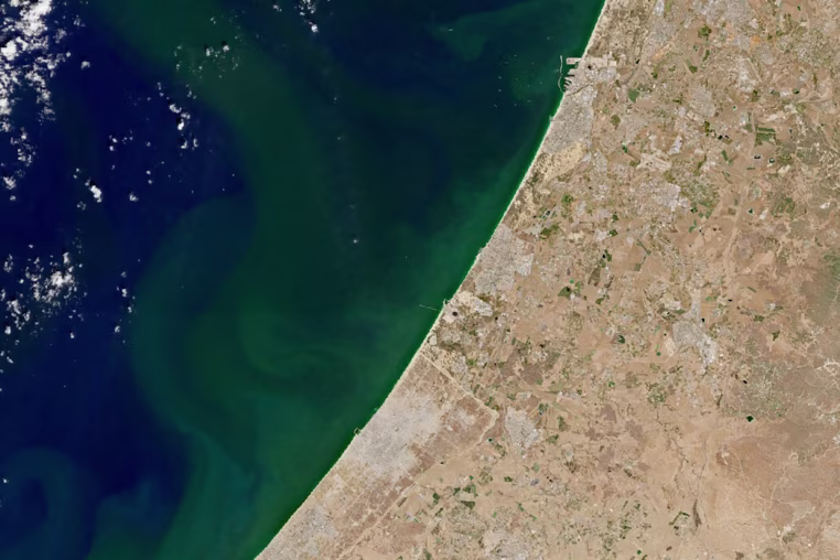 Algae bloom in the water off Israel