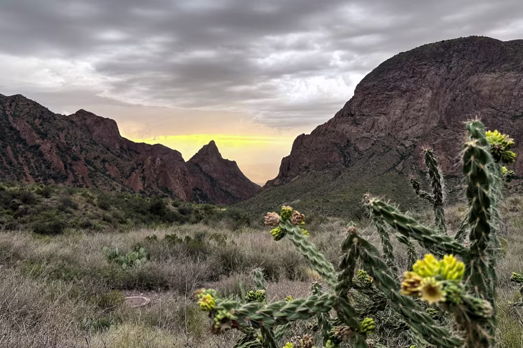 Big Bend National Park.