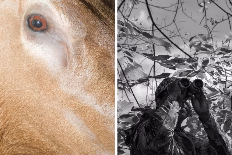 Diptych of a deer's face and a hunter.