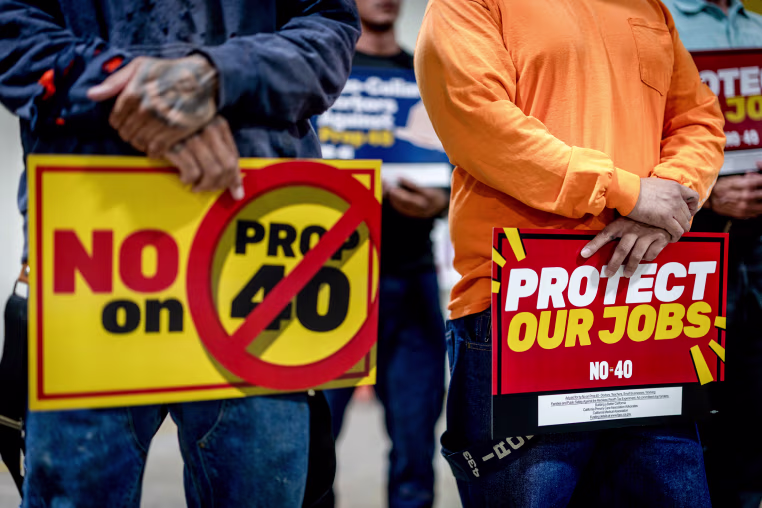 People Attend a Rally Against California Propostion 40