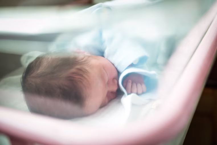 Newborn Baby Sleeping In Hospital Bassinet