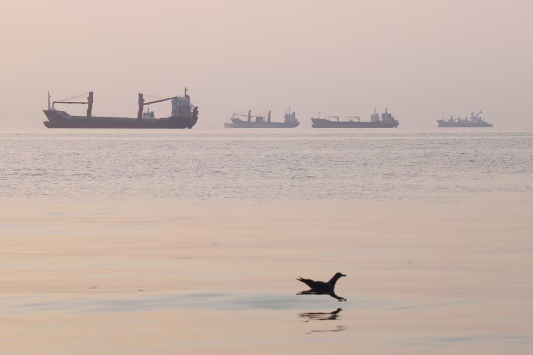 Image: A bird flies low over the water as cargo ships lie at anchor in the Strait of Hormuz
