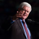 Image: Newt Gingrich