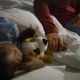 Mother holding ill son's hand sleeping on bed