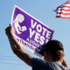 Image: A person holding up a sign that reads,\"Vote yes\".