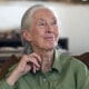 World-renowned ethologist, environmentalist and activist Dr. Jane Goodall.