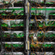 Image: Power and ethernet cables connected to mining rigs at a cryptocurrency mining center.