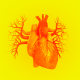 Heart against yellow background, illustration