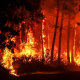 Image: TOPSHOT-FRANCE-ENVIRONMENT-CLIMATE-WEATHER-WILDFIRE