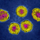 Poliovirus, Tem