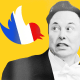 Photo Illustration: Elon Musk is attacked by Twitter birds emblazoned with the French and New Zealand flags