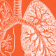 Photo Illustration: A medical illustration of lungs superimposed over an image of the Arizona desert