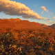 Castner Range at Sunrise