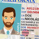 A sample California driver license with an accent mark over the first name.
