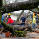 Emergency personnel and volunteers clear downed trees following a tornado in Sherwood, Ark