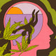 Drawn illustration of a profile-view of a human head, as a silhouette of a person is being tangled in marijuana plant leaves.