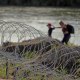 Migrants walk along concertina wire at the border as they try to cross the Rio Grande into Eagle Pass, Texas, on July 6.