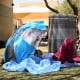Image: A Phoenix resident rests under shade while seeking protection from the sun and heat at the Human Services Campus during a record heat wave in Phoenix on July 18, 2023.