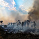 A burnt are of the Amazonia rainforest in Apui, southern Amazonas State, Brazil, on Sept. 21, 2022.