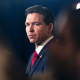 Gov. Ron DeSantis 