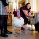 Two turkeys, named Liberty and Bell, who will receive a Presidential Pardon at the White House ahead of Thanksgiving in a hotel lobby in Washington, D.C. on Nov. 19, 2023. 